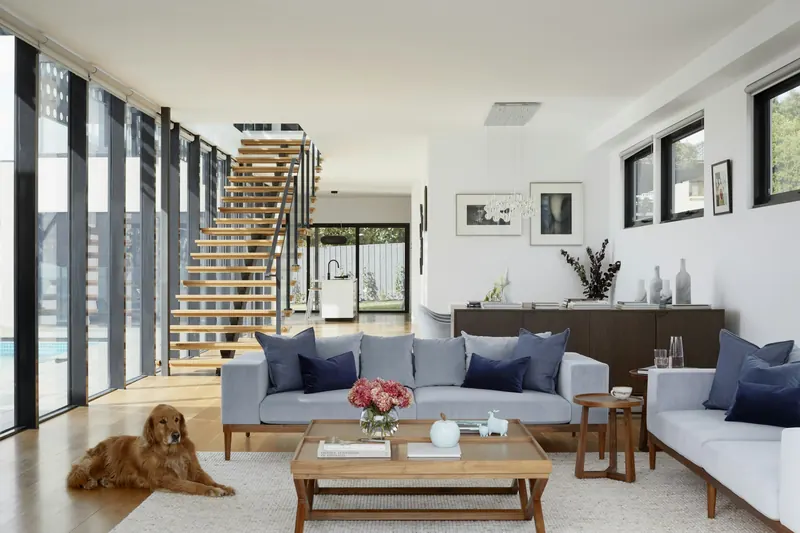Bright family living room with the family dog resting on the sofa